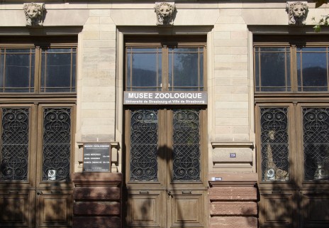 L'entrée du musée zoologique se situe au 29 boulevard de la Victoire