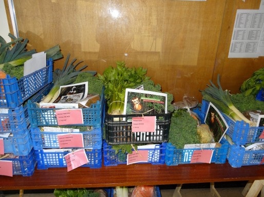 Les panier de légumes ont du mal à trouver preneurs (Photo LK / Rue89 Strasbourg)