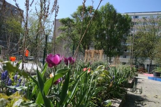 Jardin scolaire à l'école maternelle Jacqueline de Hautepierre (Photo MM/Rue89 Strasbourg)