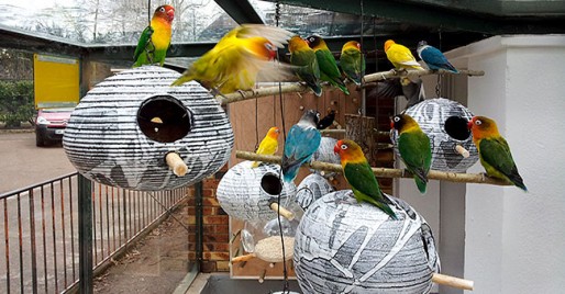 Nichoirs pour inséparables au zoo du parc de l'Orangerie, Strasbourg, printemps 2013. Document remis.