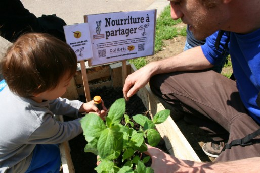 De 11h à 13h ce dimanche, une trentaine de personne a planté des aromates et des légumes dans des bacs (Photo MM / Rue89 Strasbourg)
