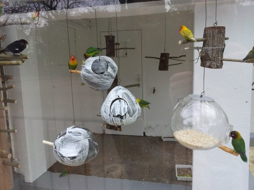 Nichoirs pour inséparables au zoo du parc de l'Orangerie, Strasbourg, printemps 2013. Document remis.