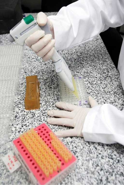 Un test ELISA en laboratoire (Photo Pan American Health Organization-PAHO / World Health / FlickR / CC)