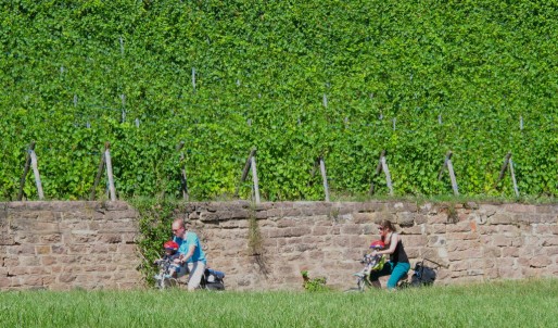 En famille dans les vignes (Photo JH / Rue89 Strasbourg / CC)