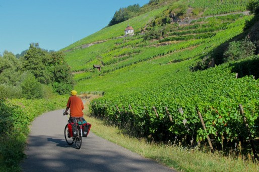Le paysage qui entoure la véloroute vaut l'effort et le dérour (Photo JH / Rue89 Strasbourg / cc)