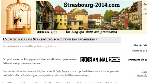 Capture Strasbourg-2014.com (MM)