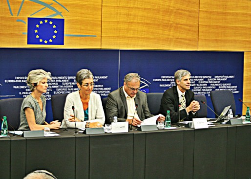 Gerald Häffner (à droite) et Ulrike Lunacek (en blanc), deux eurodéputés écologistes prêts à reprendre le flambeau laissé par le député Fox (Photo JFG / Rue89 Strasbourg / cc)