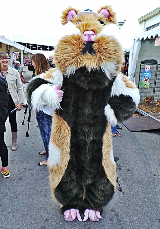 Cette mascotte doit rendre le hamster alsacien plus sympathique aux visiteurs. (Photo JFG /Rue89 Strasbourg)