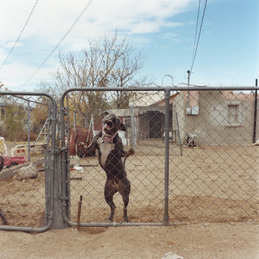 © Ronan Guillou, Pink Ribbon, Truth or Consequences, 2012