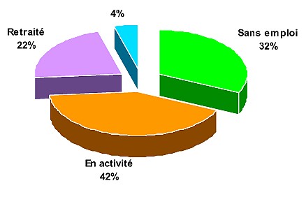 Le profil des malades participants au programme (Source: Eurométropole)