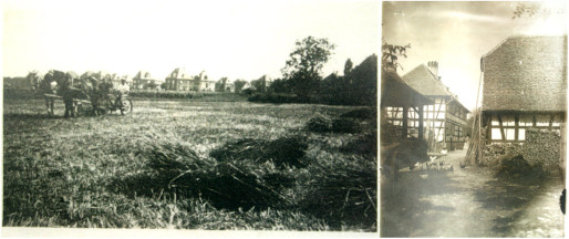 Au sud du Jardin Haemmerlé, la ferme Flachenbourg voit progressivement ses activités disparaître au profit de la construction du "quartier des villas" (Doc. "La Flachenbourg")
