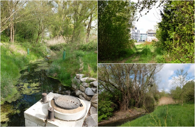 Le canal des Français, remis en eau récemment, relie la Renaissance à Bussierre (Photos MM / Rue89 Strasbourg)