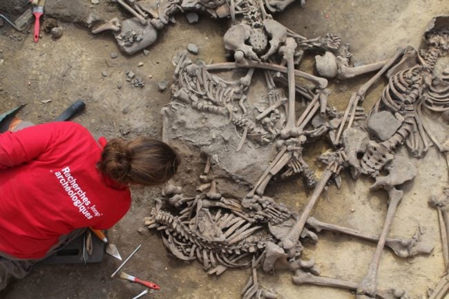 Les squelettes laissent apparaître des lésions difficilement explicables (Photo Philippe Lefranc / Inrap / doc remis)