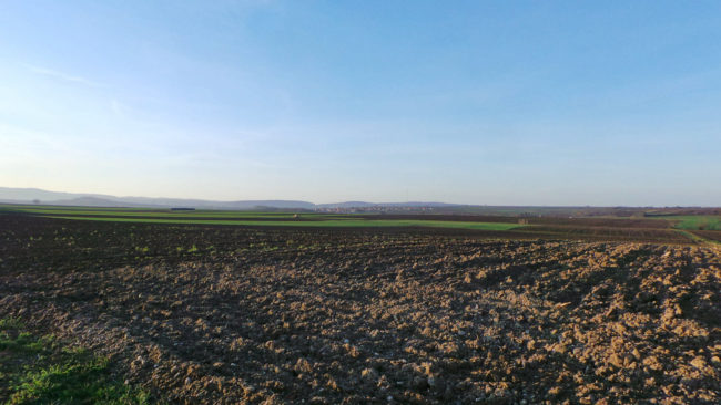 Les terres fertiles du Kochesberg seraient en partie impactées par le tracé du GCO (photo JFG / Rue89 Strasbourg)