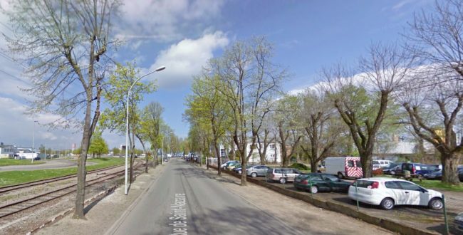 Les arbres de la rue de Saint-Nazaire (Photo Google Maps)