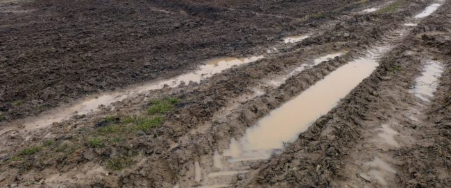 Vinci assure que les agriculteurs seront indemnisés à hauteur des récoltes potentielles.