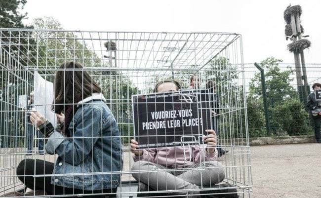 Les activistes de Life 269 plaident pour une fermeture totale du zoo (Photo Chloé Kreppert / Life 269 / Document remis)