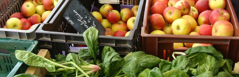 Marchés de Strasbourg : nos stands préférés