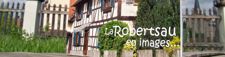 La Robertsau en images