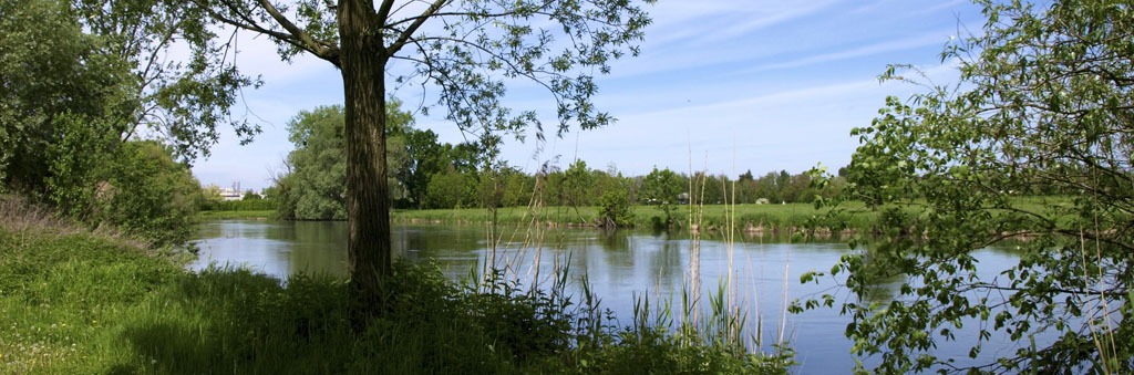 Se promener à la Cité de l’Ill, en pleine verdure