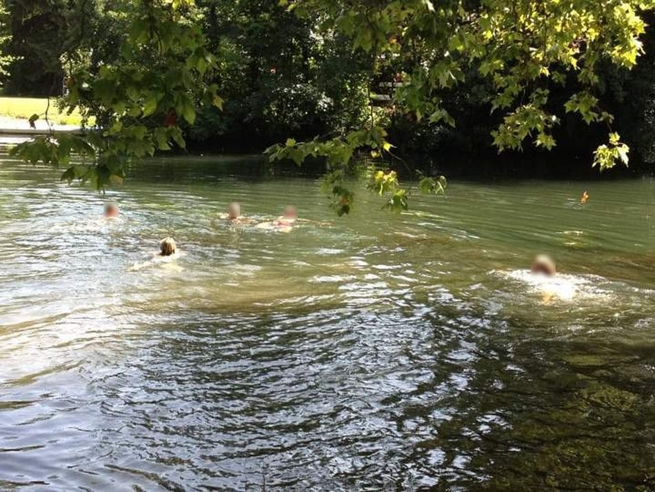 Où l’on reparle des baignades dans les cours d’eau de Strasbourg