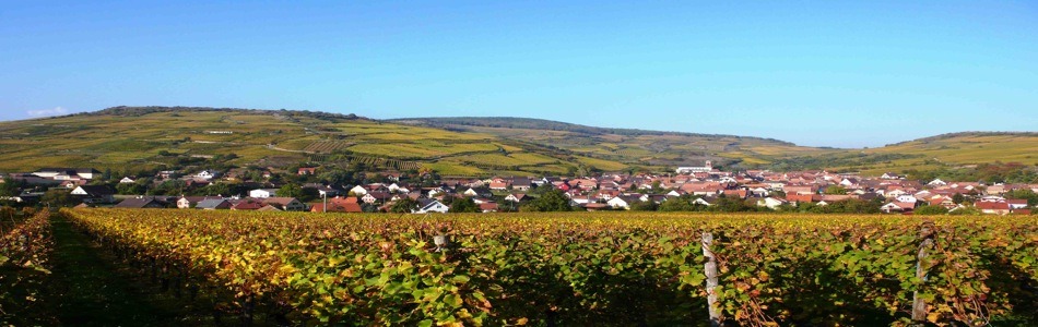 La concentration dans le vignoble gagne du terrain