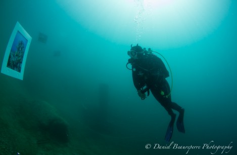 Vue de l'exposition sous-marine, "Faites de la plongée", 22-23 septembre 2012, Gravière du Fort, Holtzheim. Photo: Daniel Beaureperre