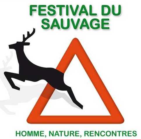 Un festival dans les Vosges pour s’aérer les neurones au grand air