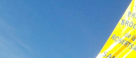 Braderie et brocante de la Robertsau