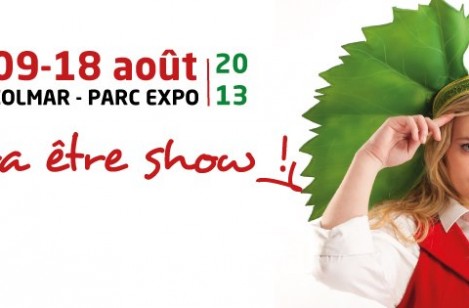 Foire aux vins 2013 : Deep purple et Sexion d’assaut