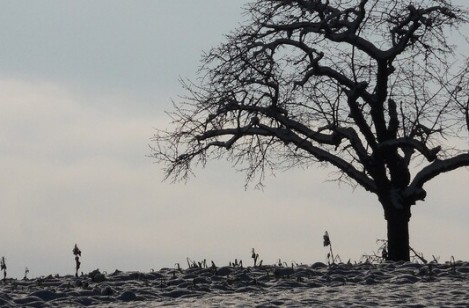 La fin de vie, et avant ? Et après ?