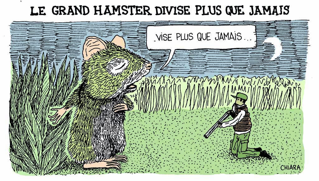 Mais au fait, ça se mange le grand hamster ?