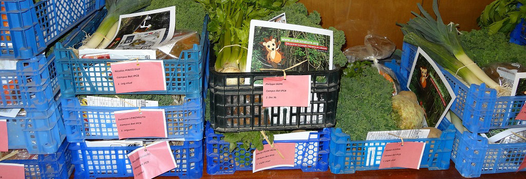 Chez les étudiants, les paniers subventionnés de légumes bio font un flop