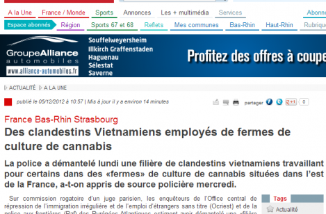 Une filière de clandestins vietnamiens cultivant le cannabis, démantelée dans le Bas-Rhin