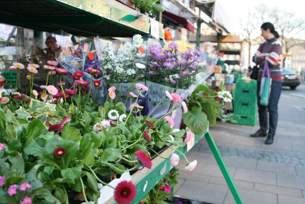 Jardiner en ville : la sève monte à Strasbourg