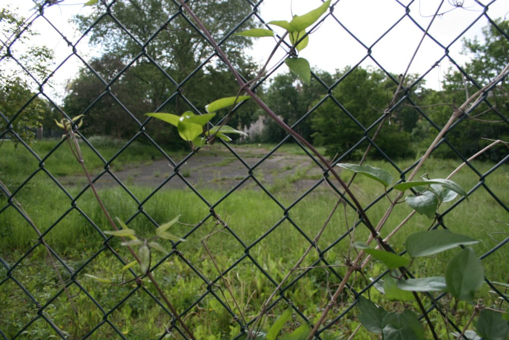 Longtemps délaissés, les quartiers ouest deviennent parc naturel urbain