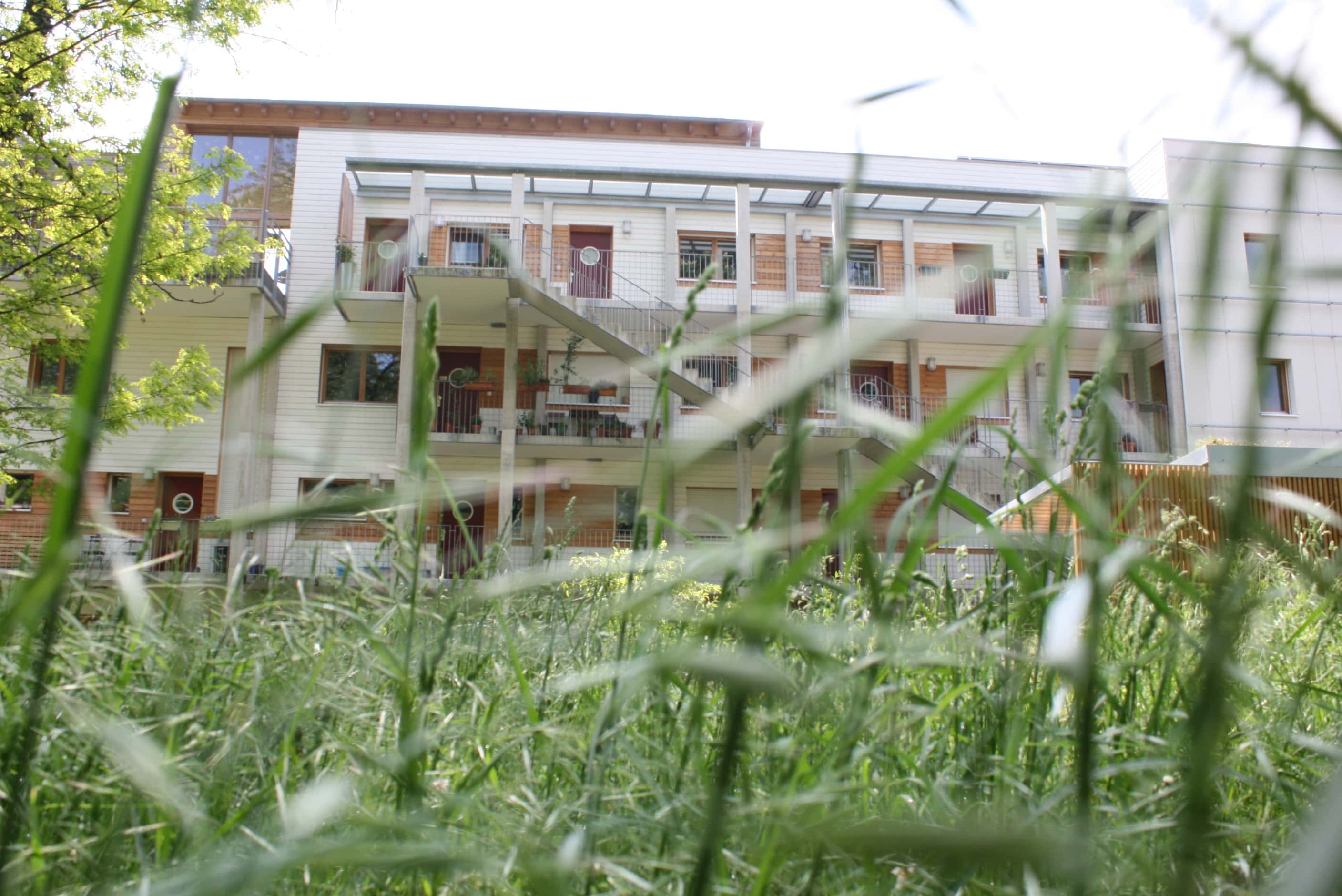 Eco-Logis, à l'îlot Lombardie à Neudorf, un petit coin de nature en pleine ville. (Photo LJ / Rue89 Strasbourg)