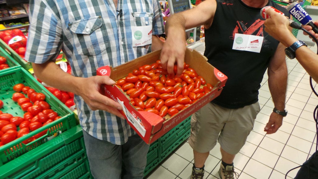 Les seules tomates alsaciennes à Auchan ce jour-là (Photo JFG / Rue89 Strasbourg / cc)