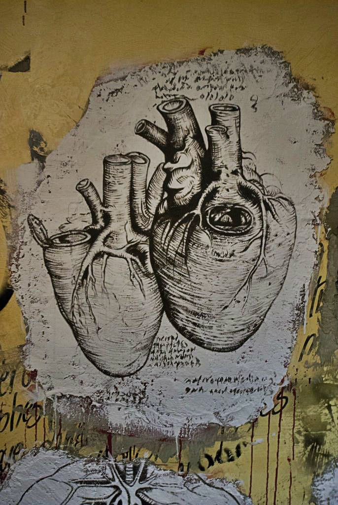 Anatomie du coeur humain, par Léonard de Vinci (Thierry Ehrmann / Flickr / cc)