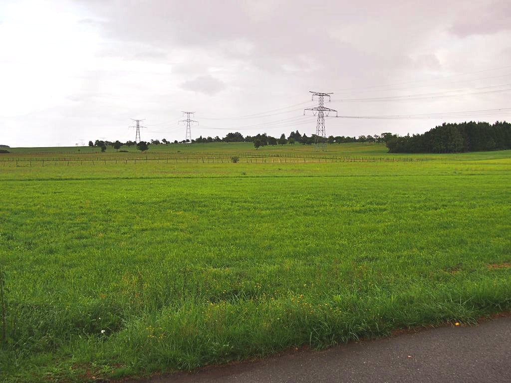 Les vertes prairies se transformeront-elles en green ? (Photo Jean-Marc Bachellerie)