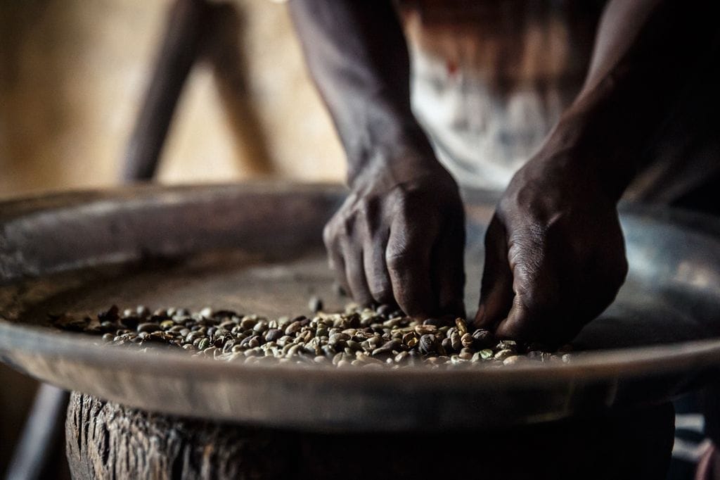 Sélection des grains à Addis Waba en Éthiopie (Photo Nils & For)