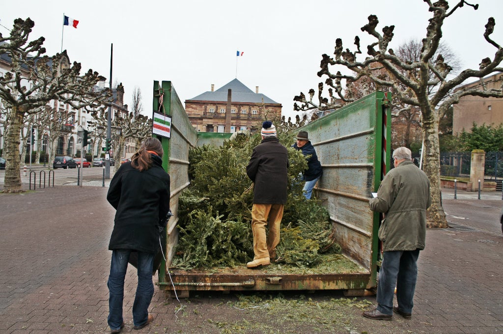 Collecte des sapins de Noël samedi 10 janvier