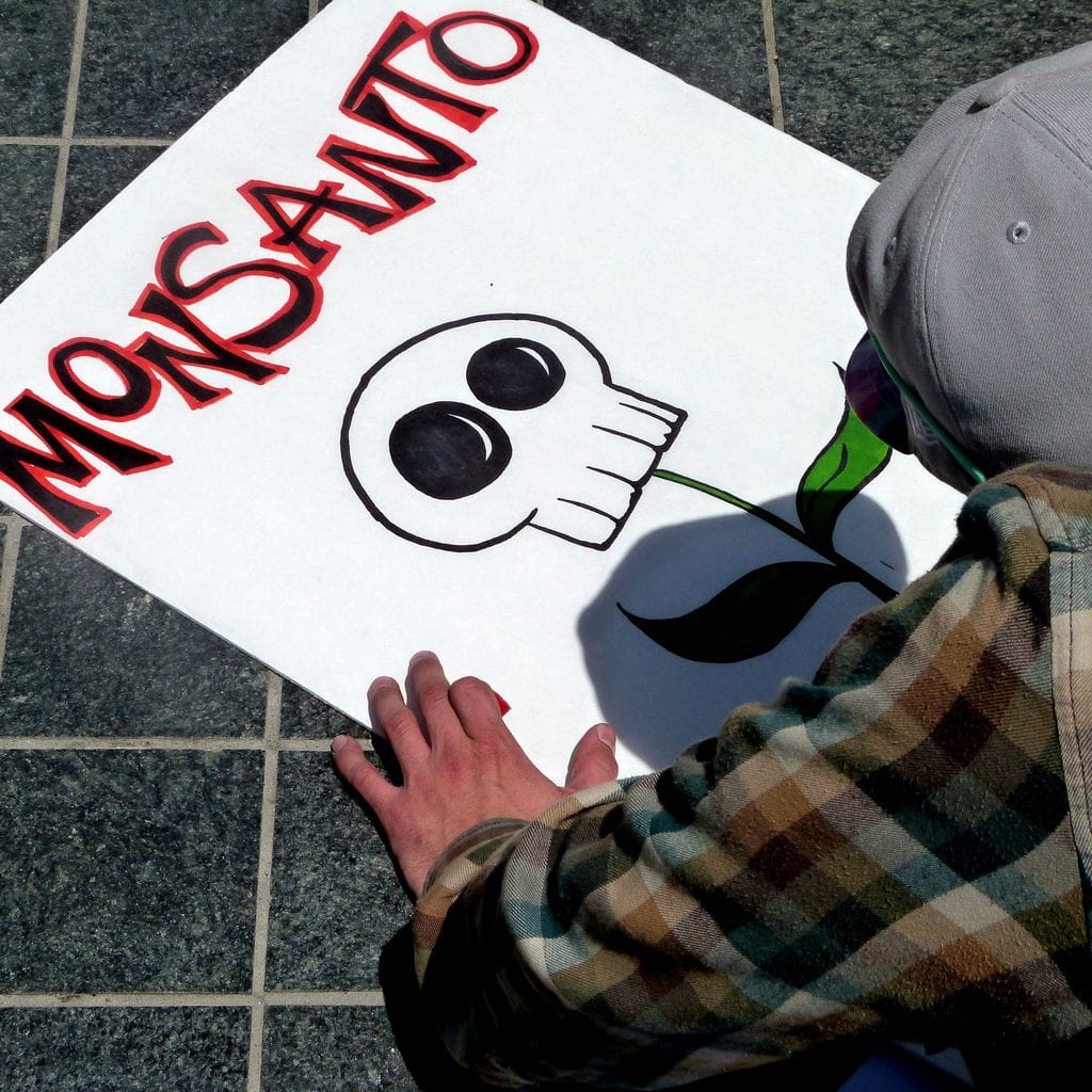 Lors d'une manifestation contre Monsanto à San Francisco en mai 2013 (Photo Donna Cleveland / FlickR / cc)