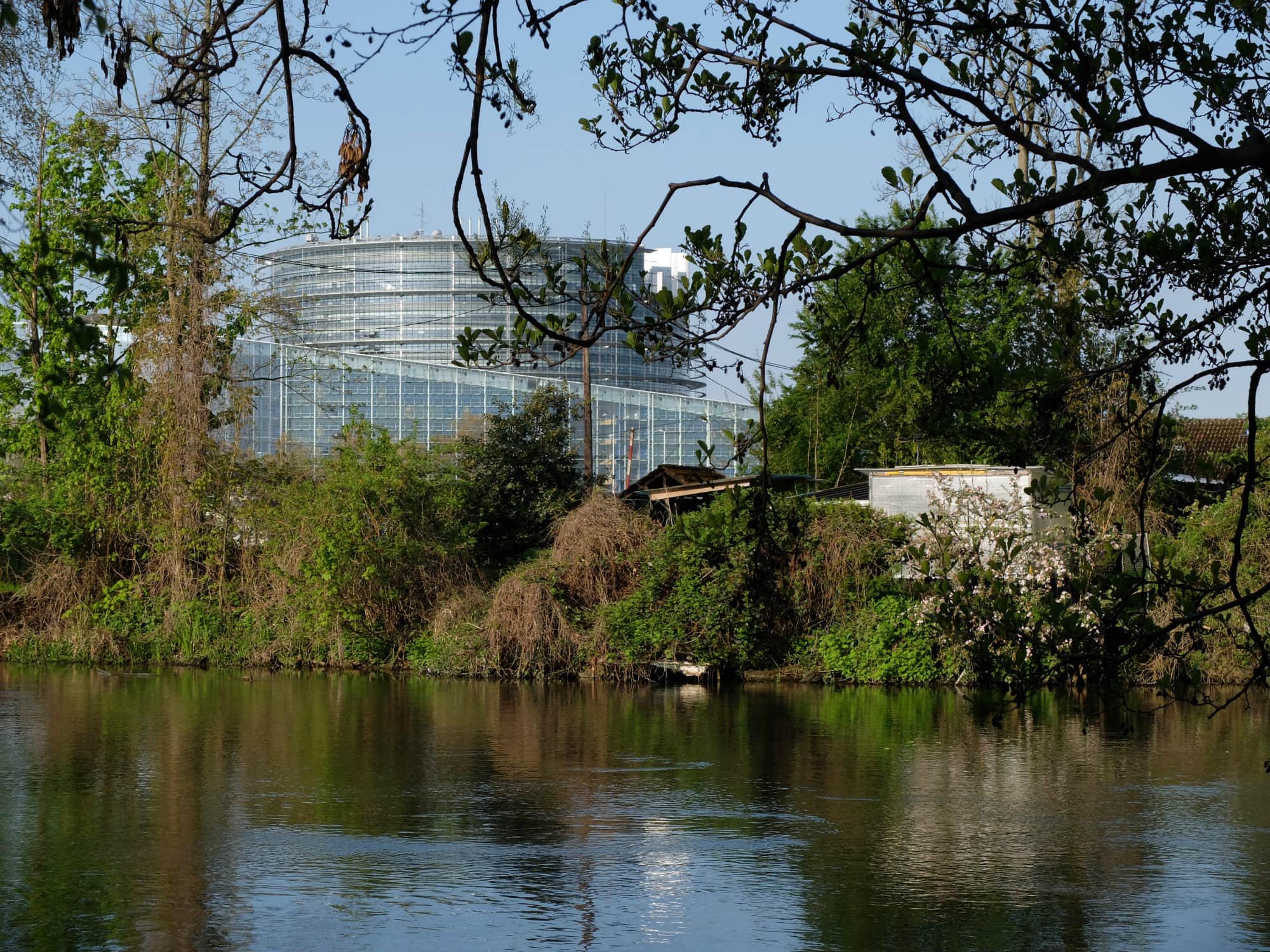 Balade nature à Strasbourg : la Robertsau, du Doernel à Pourtalès