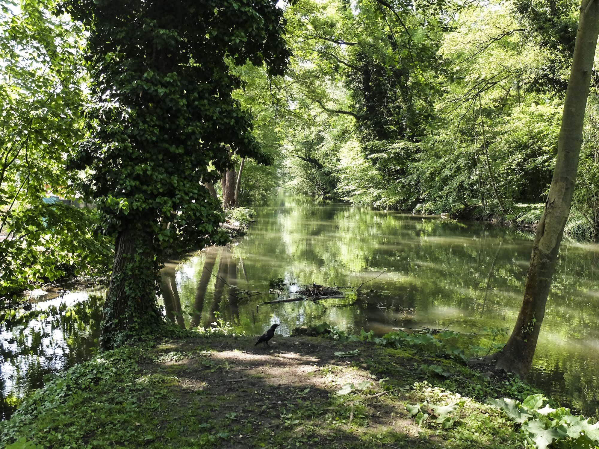 Balade nature : de Neudorf au Baggersee, en suivant le Ziegelwasser