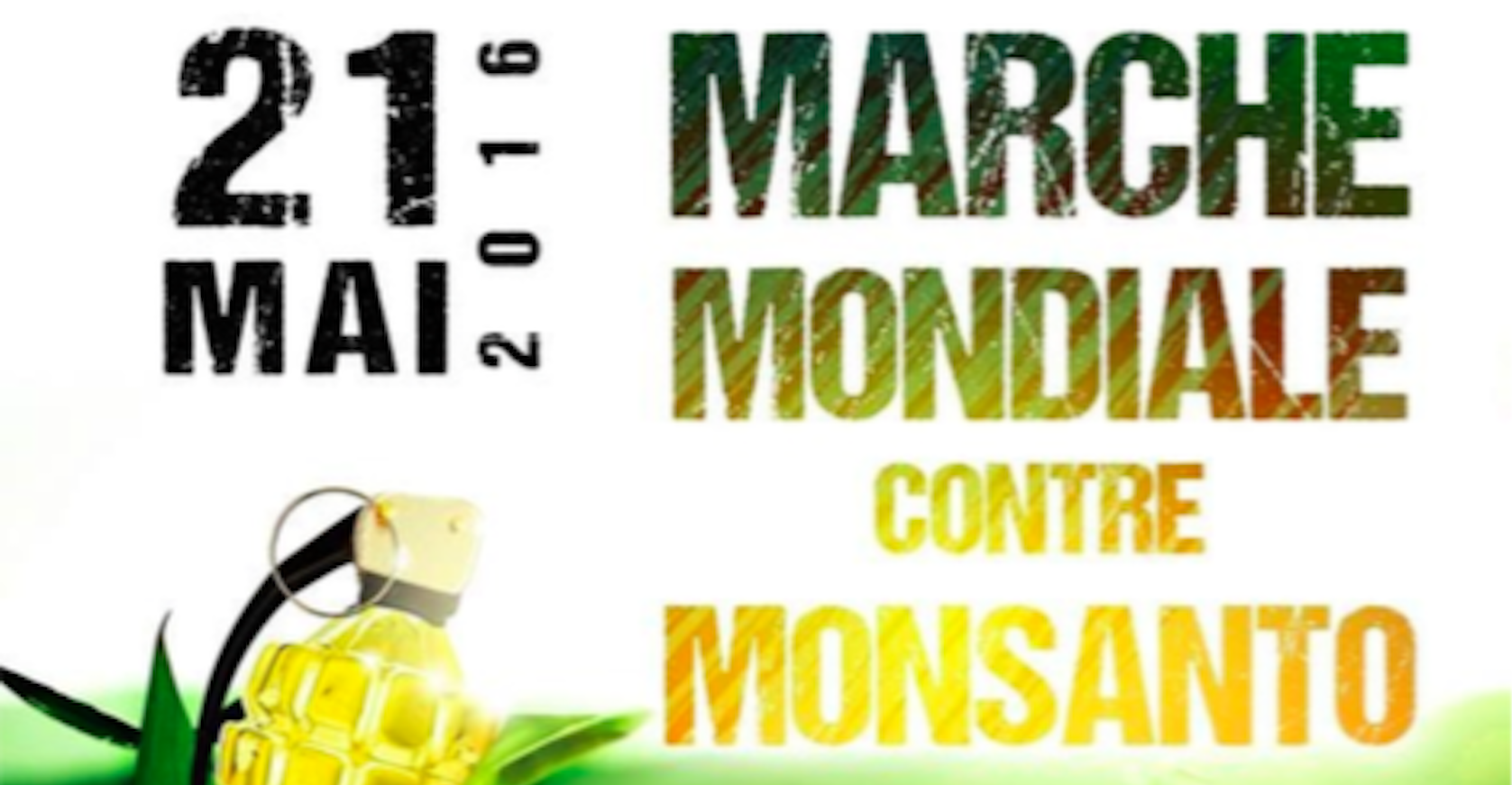 Affiche de la Marche mondiale contre Monsanto (Photo : Les amis de la Confédération Paysanne d'Alsace / doc remis)