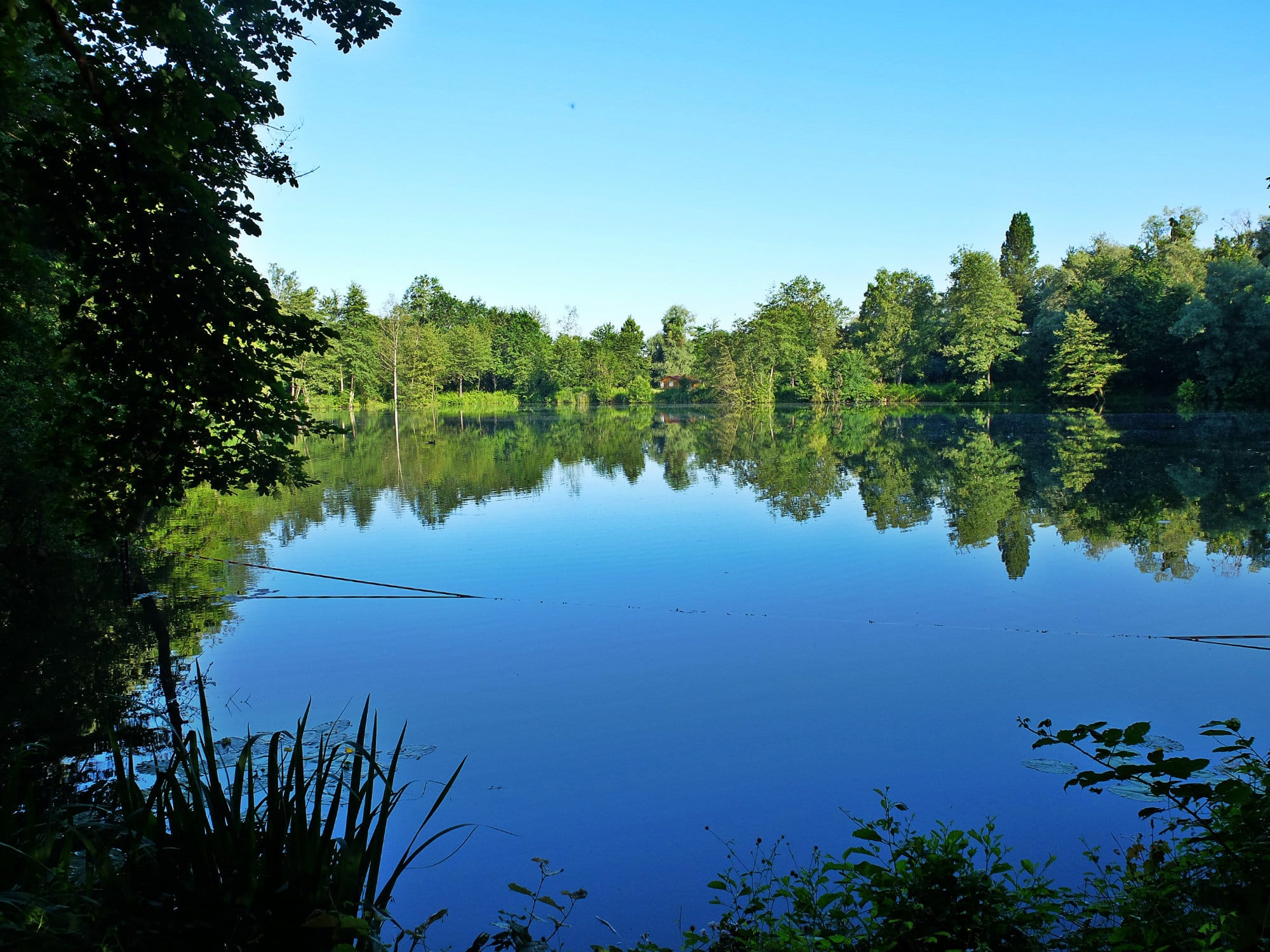 Balade nature au nord de Strasbourg, à la découverte des étangs de Schilick