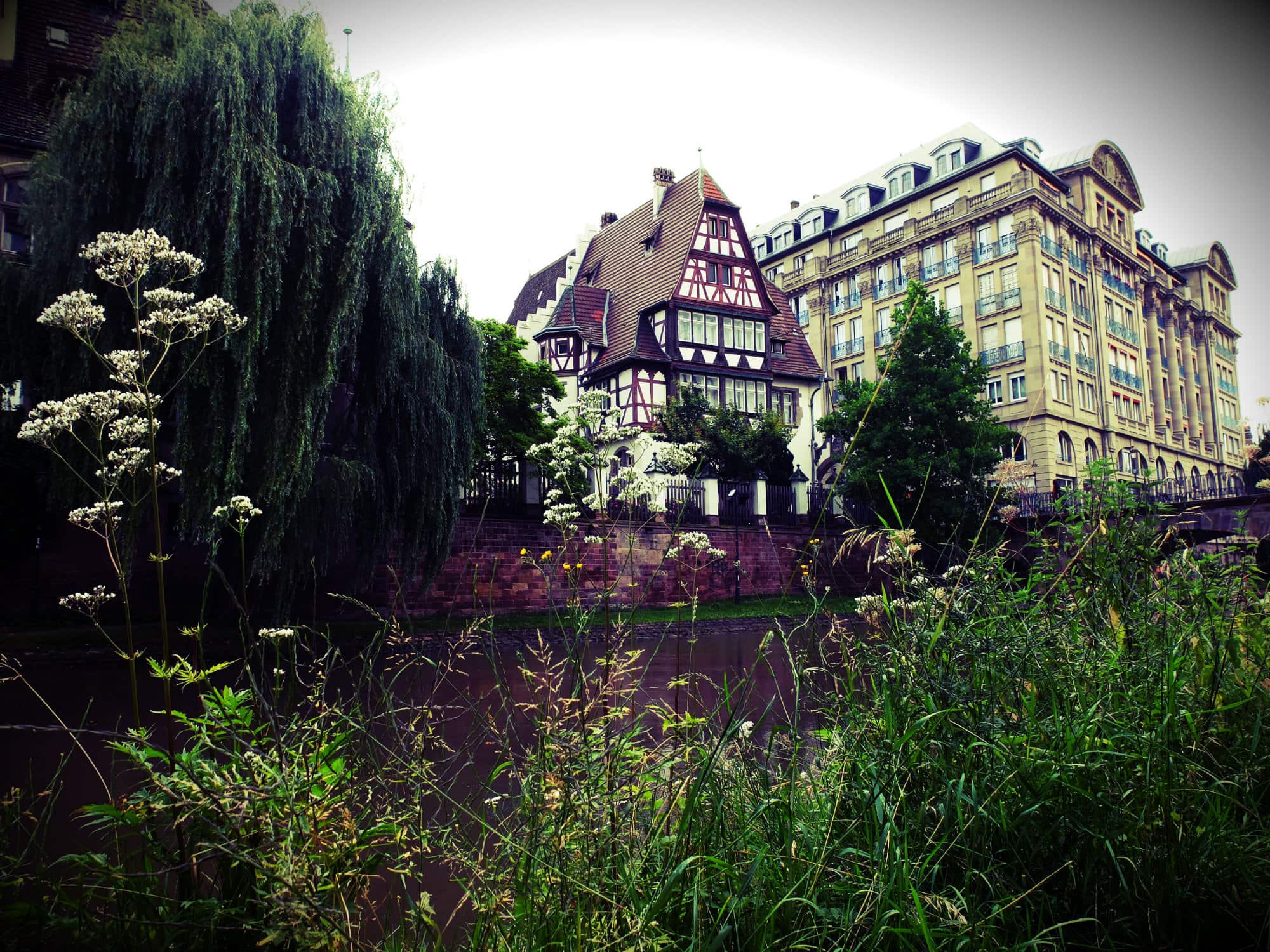 Balade nature… au centre-ville de Strasbourg !