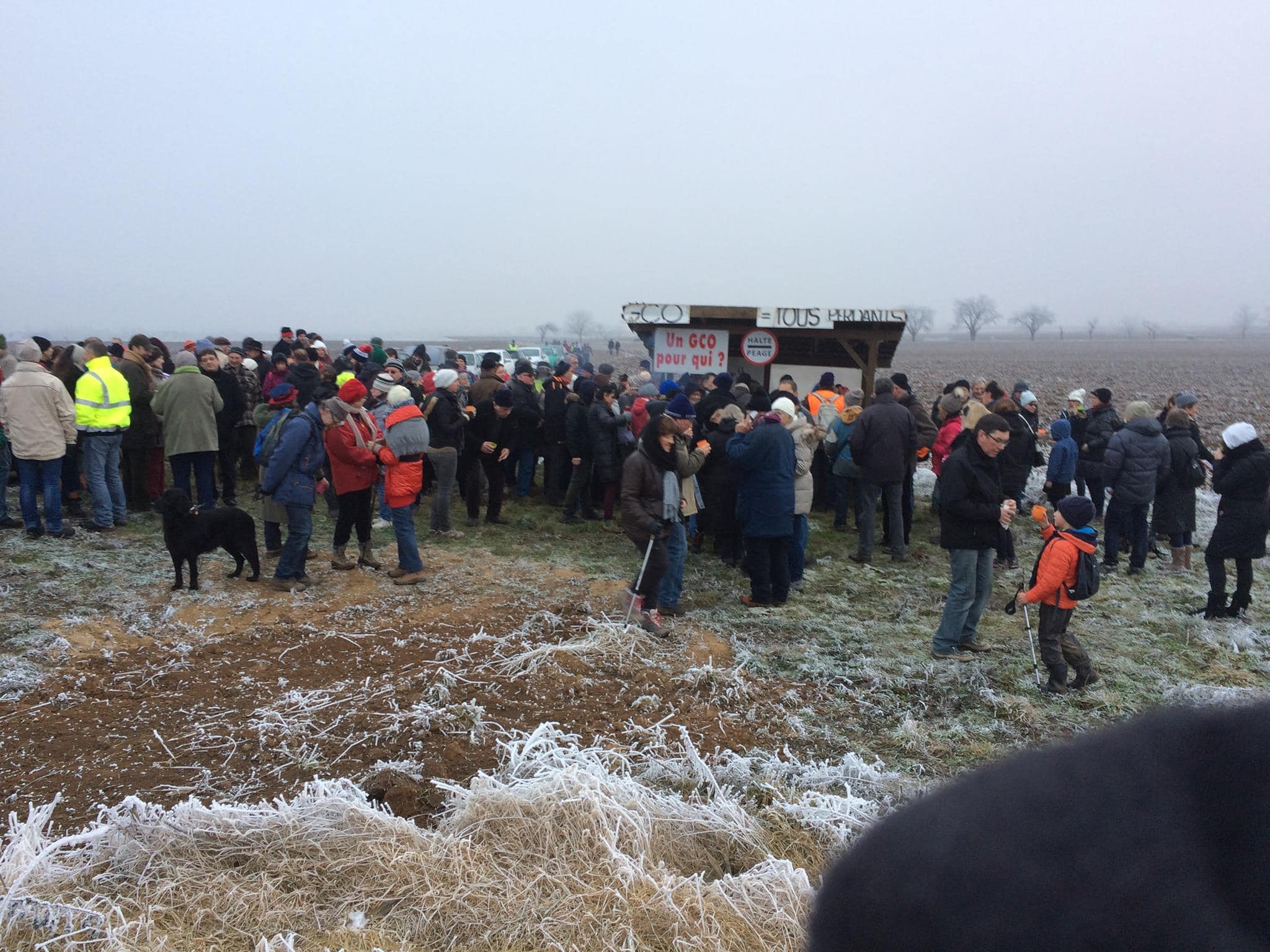 Inauguration de la huitième cabane anti-GCO samedi matin à Eckwersheim