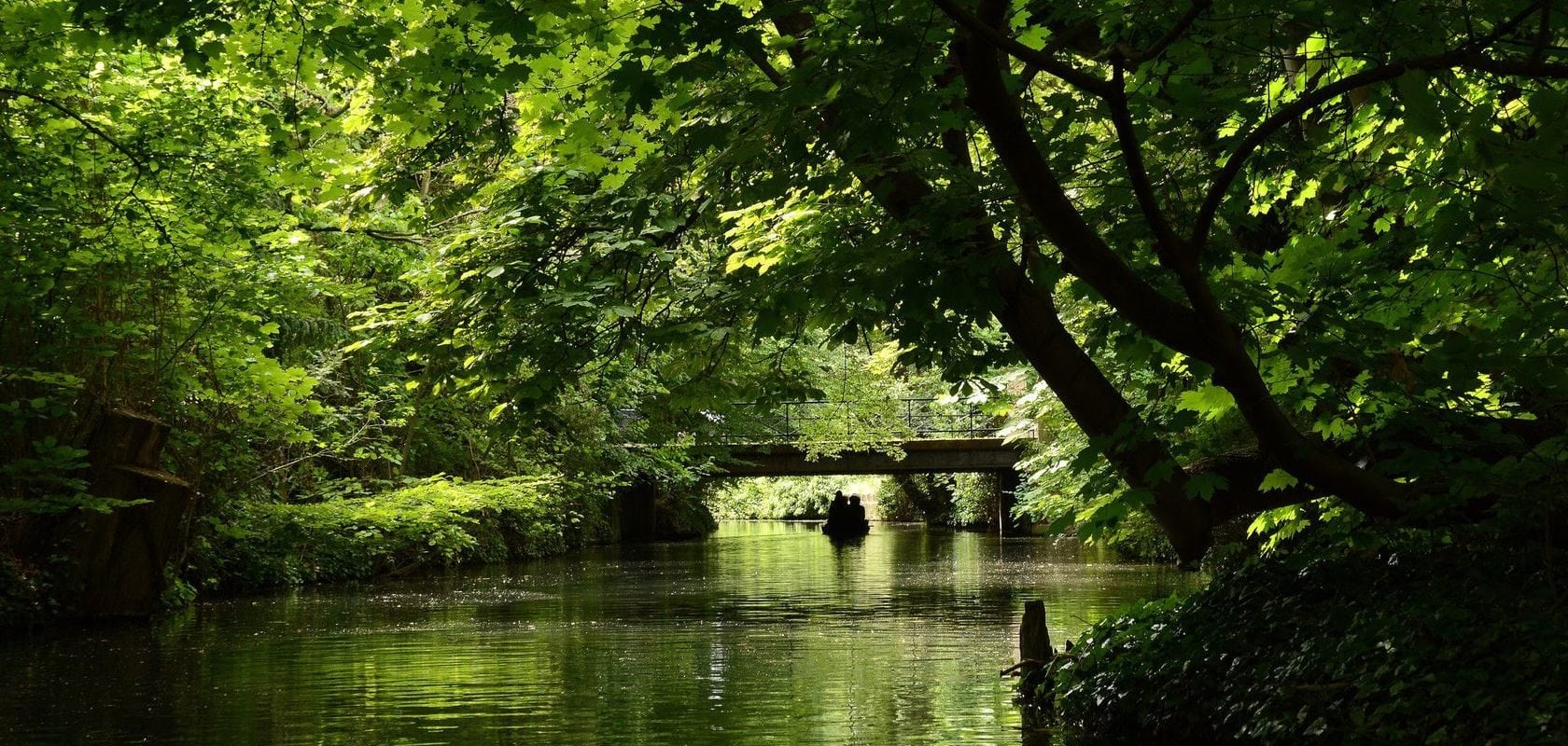 Alsace Nature appelle à la mobilisation contre la pollution des eaux alsaciennes